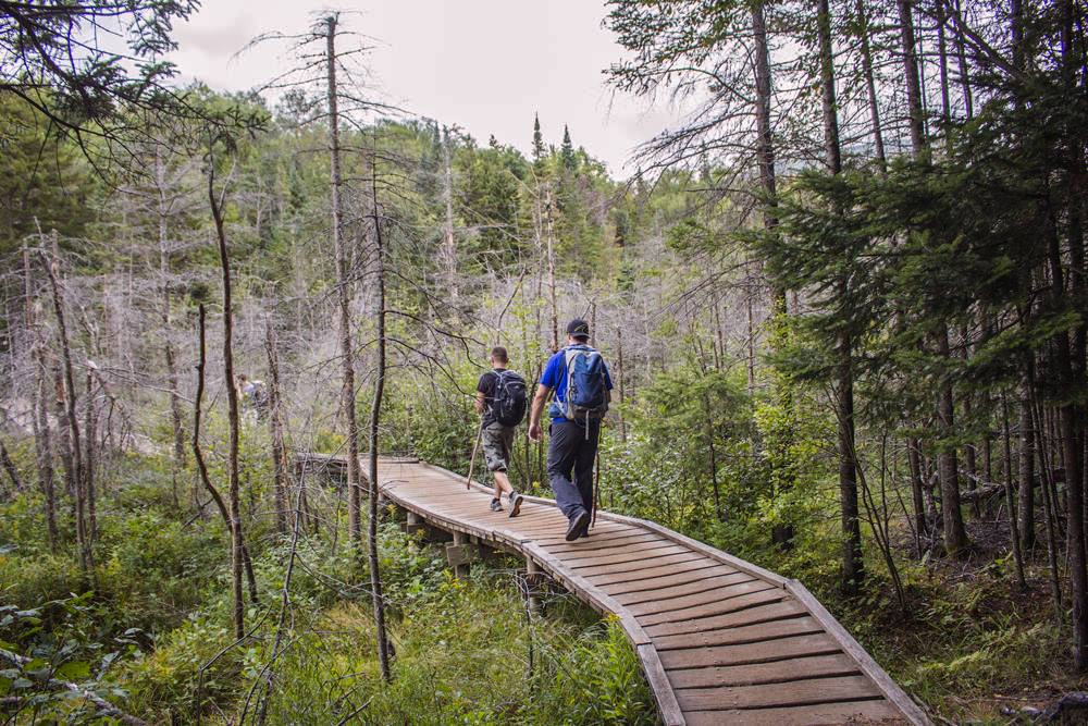 Début randonnée Algonquin Peak